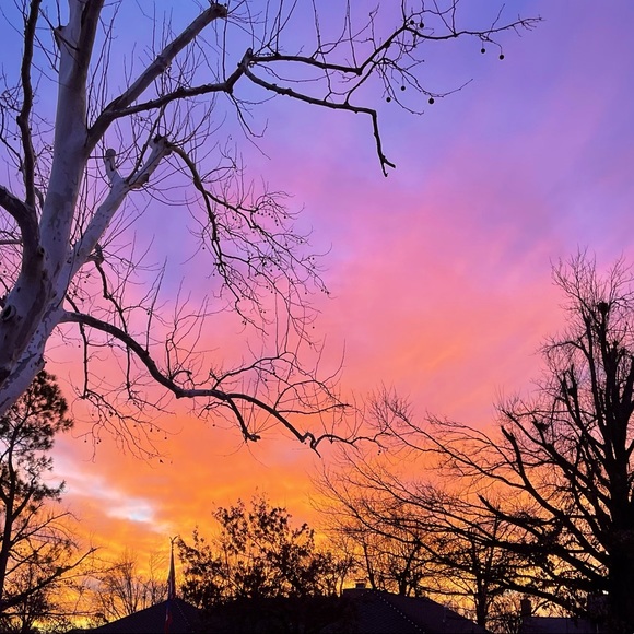 Meet your Posher, Steph - Picture 1 of 1